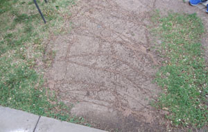 Abortion Worker Spreads Cow Manure Outside Clinic to Harass Pro-Life Activists