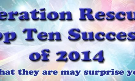 Operation Rescue’s Top Ten Successes of 2014 Counted Down