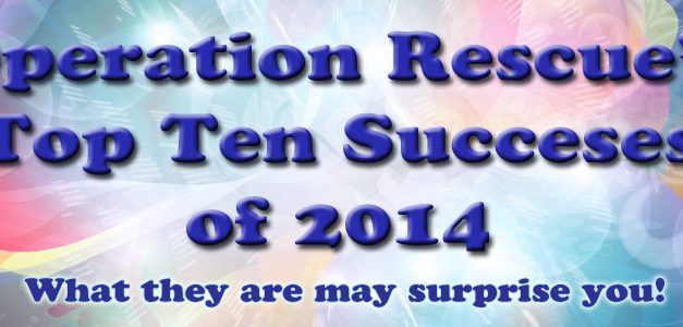 Operation Rescue’s Top Ten Successes of 2014 Counted Down