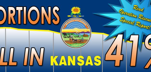 Dramatic 41% Abortion Drop in Kansas Reveals Seven Trends
