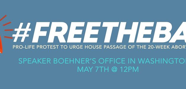 Pro-life Activists to Hold a Second Demonstration at Speaker Boehner’s Office Calling for the Ban of All Abortions After 20 Weeks