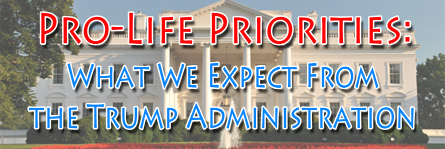 Pro-Life Priorities: What We Expect from Mr. Trump’s Presidency