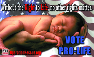 America on the Precipice: Register and Vote to Defend the Babies and Our Republic