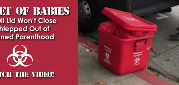 Video: Bucket of Babies So Full Lid Won’t Close Schlepped Out of Planned Parenthood