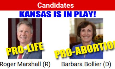 Senate Races that are “Must Wins” for Pro-Lifers, Including One the Dems Want Us To Ignore