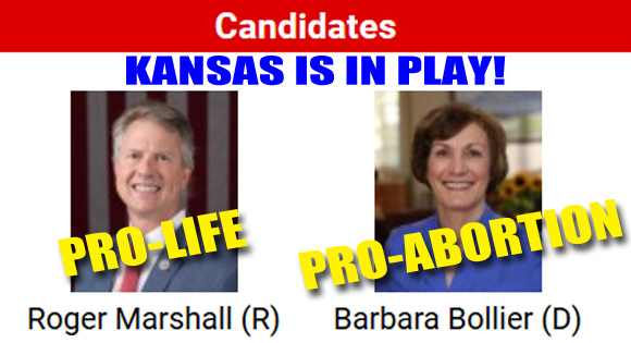 Senate Races that are “Must Wins” for Pro-Lifers, Including One the Dems Want Us To Ignore