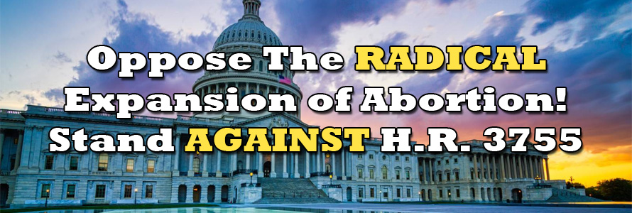 Senate Vote Set on Bill that Would Nullify Pro-Life Laws with Unprecedented Abortion Expansion