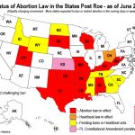 40 Abortion Businesses Stopped, More to Come: A Review by State