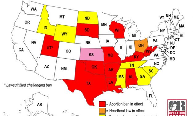 40 Abortion Businesses Stopped, More to Come: A Review by State