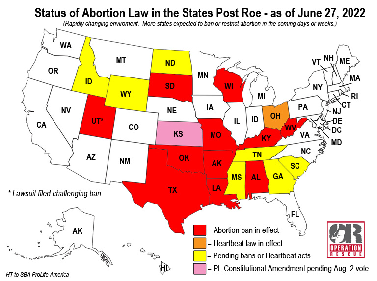 40 Abortion Businesses Stopped, More to Come: A Review by State