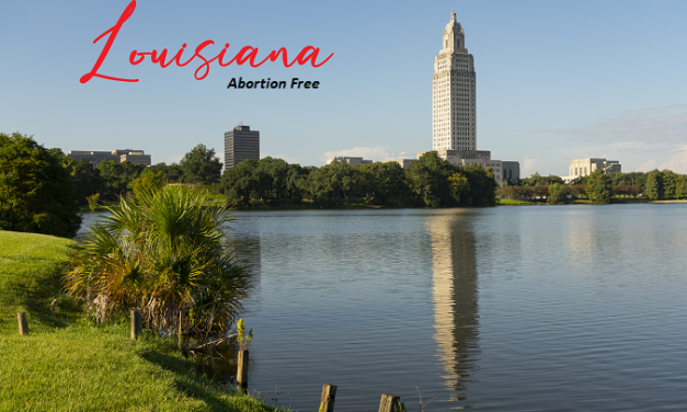 Louisiana’s Three Trigger Laws Unblocked: Now 10th Abortion-Free State