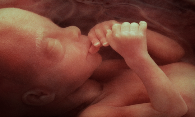 Three Big Shifts Affecting Tiny Babies This Week: Laws  Blocked and Unblocked in LA, WV, and GA 