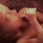 No Federal 15-Week Abortion Ban: Here’s Why…