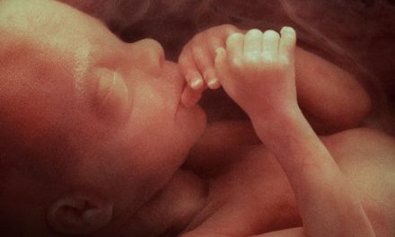 No Federal 15-Week Abortion Ban: Here’s Why…