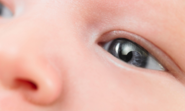 15 States Abortion Free, 8 to Kill Babies Throughout Pregnancy  