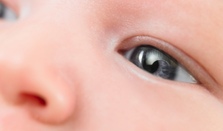 15 States Abortion Free, 8 to Kill Babies Throughout Pregnancy  