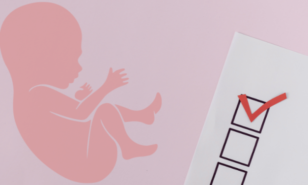 Missouri Legislators Seek to Overturn Abortion Amendment – ‘Don’t Waste This Chance’