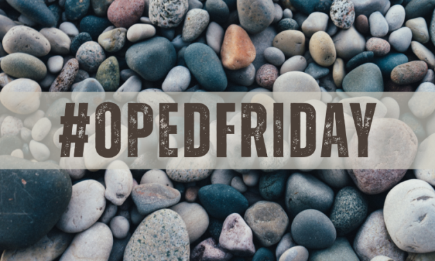 #OPEDFRIDAY | One Small Stone