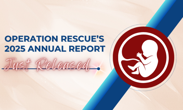 2025 Annual Report: A Record Year for Closures, Record Losses in Funding for the Abortion Cartel