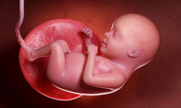 PRESS RELEASE: Operation Rescue Commends Trump Administration for Ceasing Funds for All Research Involving Tissue from Aborted Babies